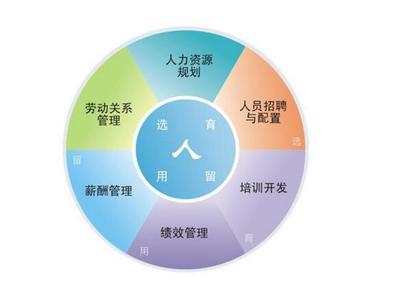 课堂十一学习笔记 人力资源管理之工作分析2-1——薪酬管理服务解析