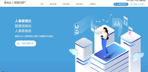 选对人事管理软件，让企业运营更高效 14款主流员工管理系统与薪酬服务深度解析