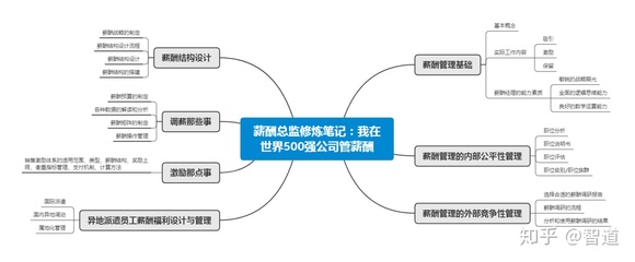 薪酬总监修炼笔记 解码世界500强公司的薪酬管理智慧