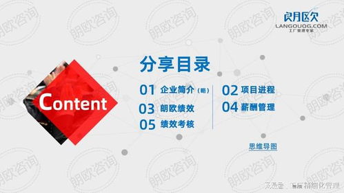 朗欧咨询驻厂管理辅导实操案例 薪酬绩效管理体系如何打造